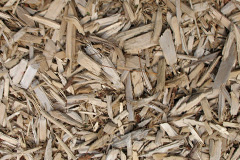 biomass boilers Stareton